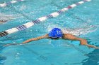 Swimming & Diving vs Babson  Swimming & Diving vs Babson College. - Photo by Keith Nordstrom : Wheaton, Swimming